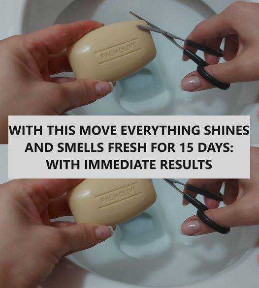 WITH THIS MOVE EVERYTHING SHINES AND SMELLS FRESH FOR 15 DAYS: WITH IMMEDIATE RESULTS