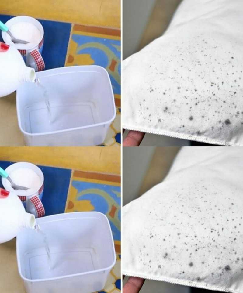 How to Get Rid of Mold Stains with a Sugar Trick