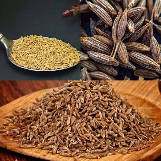 How Cumin Supports Weight Loss