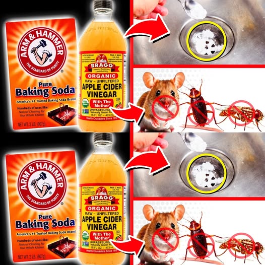 10 Powerful Baking Soda & Vinegar Hacks for Clogged Drains, Pests, Stains, & More!