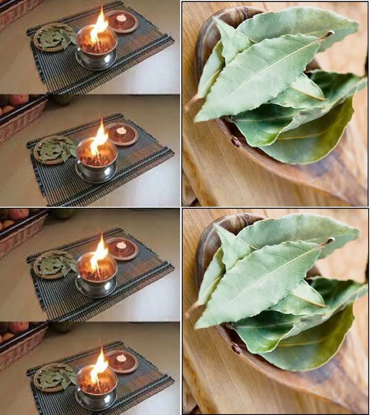 6 Incredible Benefits of Burning Bay Leaves