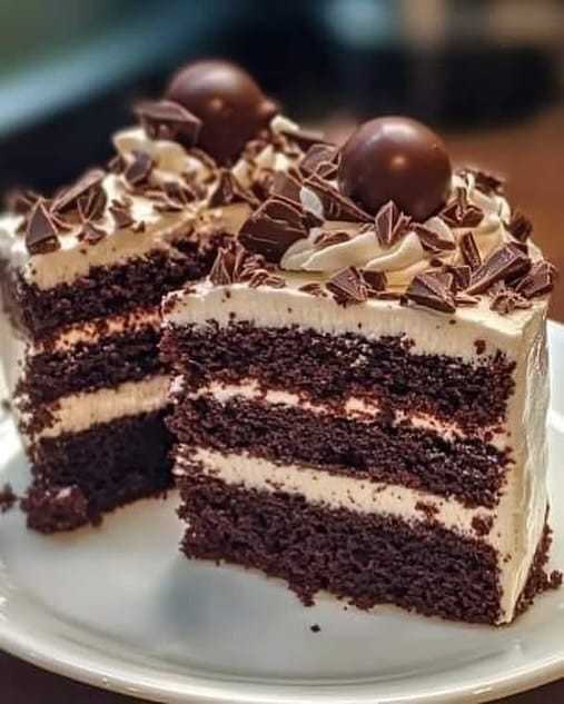 Chocolate Forest Cake