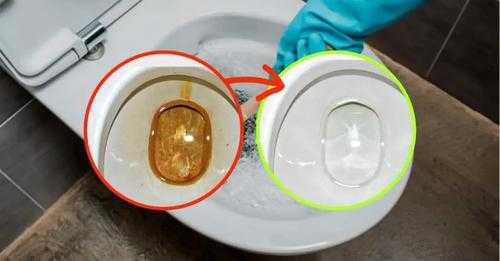 How to remove dirt and yellow stains from toilets, the new foolproof method