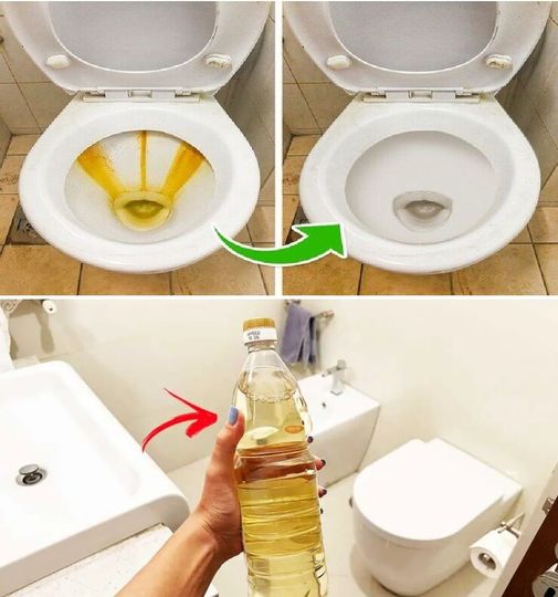 Vinegar in the toilet: solves an annoying and very common problem