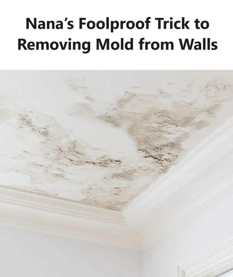 Nana’s Foolproof Trick to Removing Mold from Walls